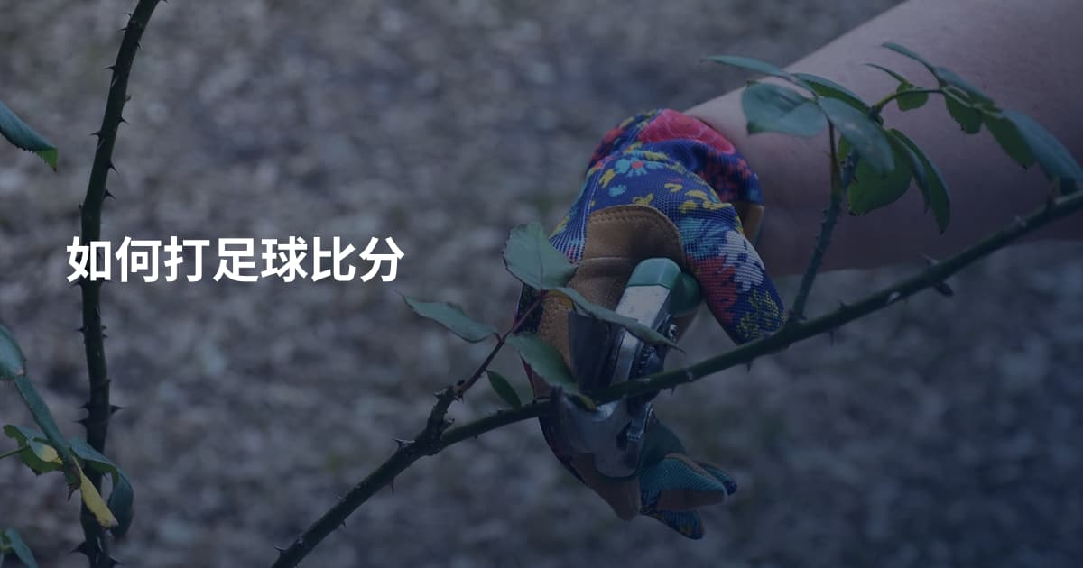 如何打足球比分