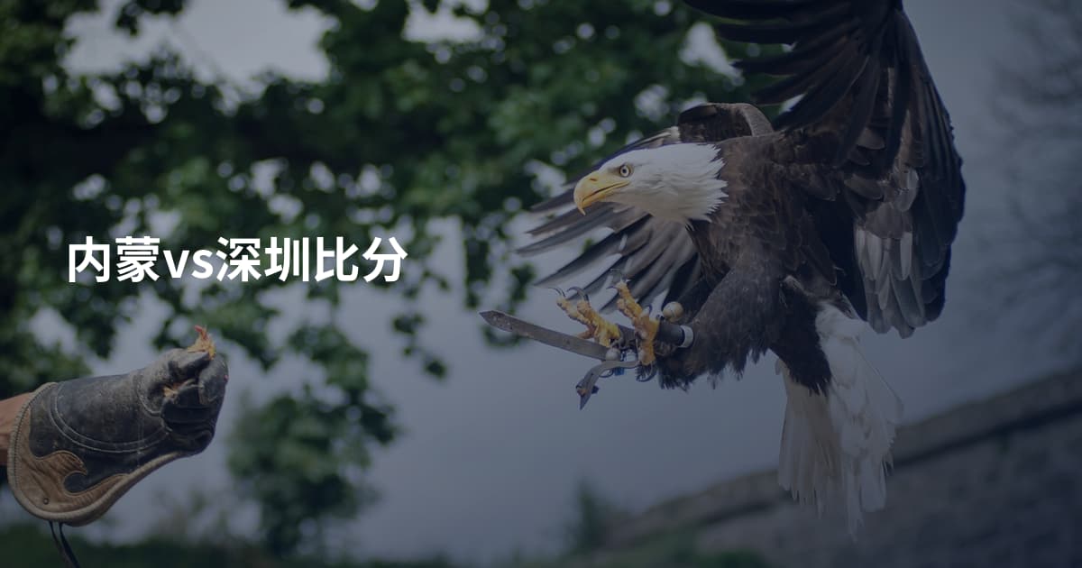 内蒙vs深圳比分