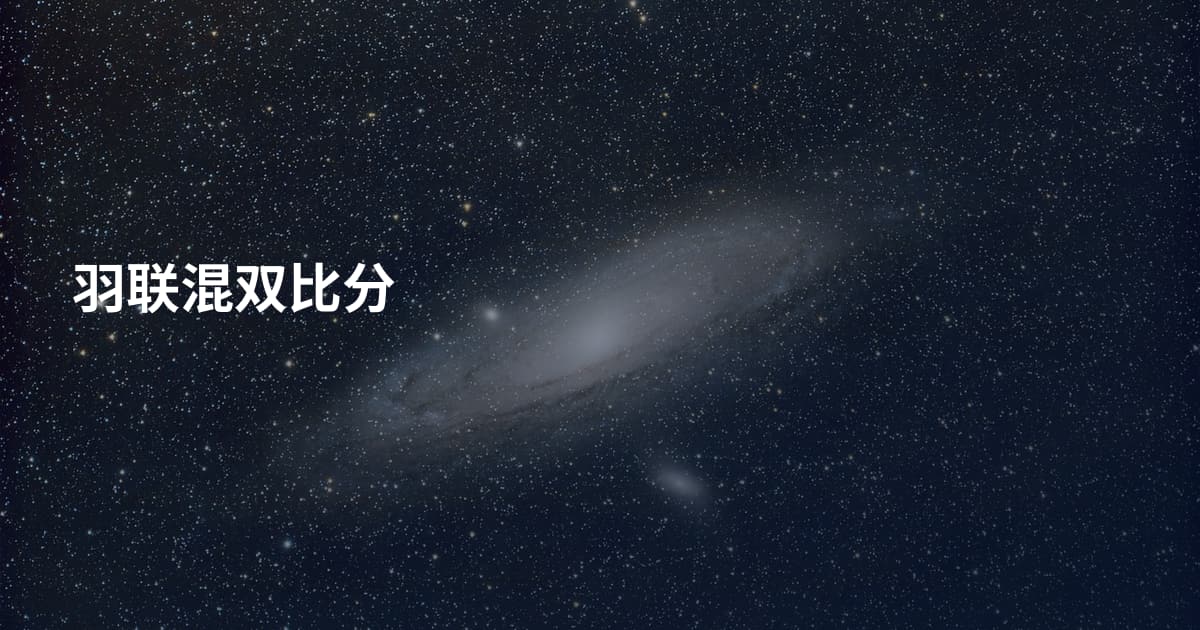 羽联混双比分