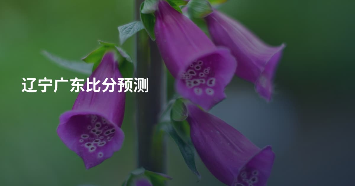 辽宁广东比分预测