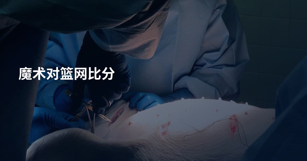魔术对篮网比分