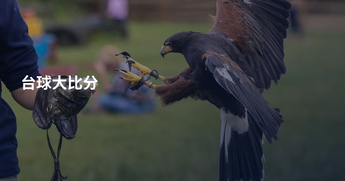 台球大比分