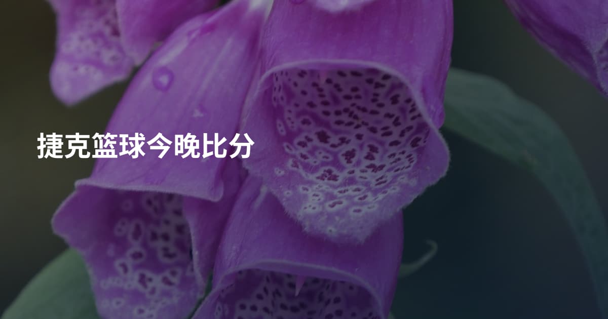 捷克篮球今晚比分