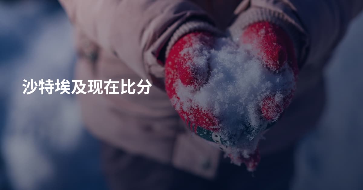 沙特埃及现在比分
