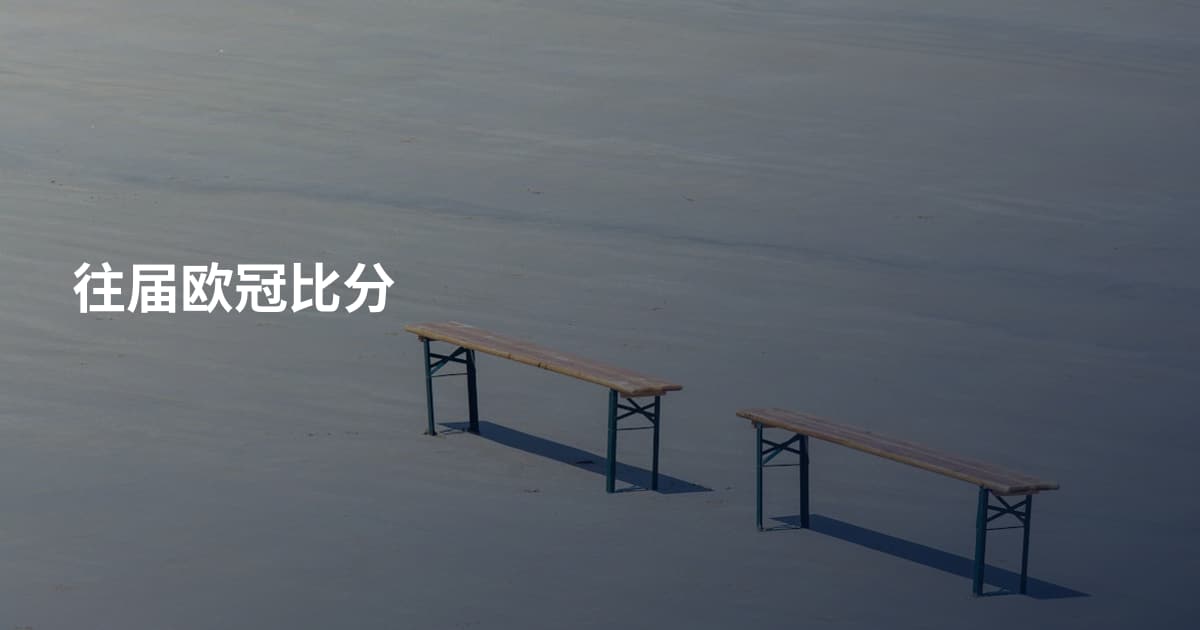 往届欧冠比分