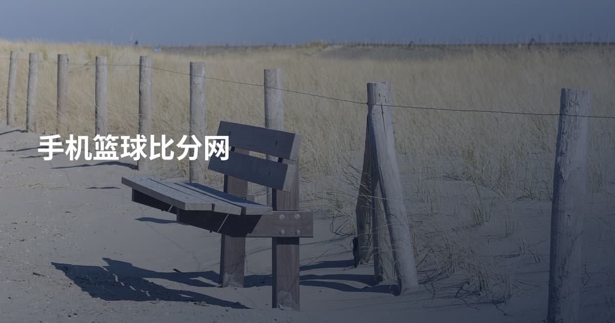 手机篮球比分网