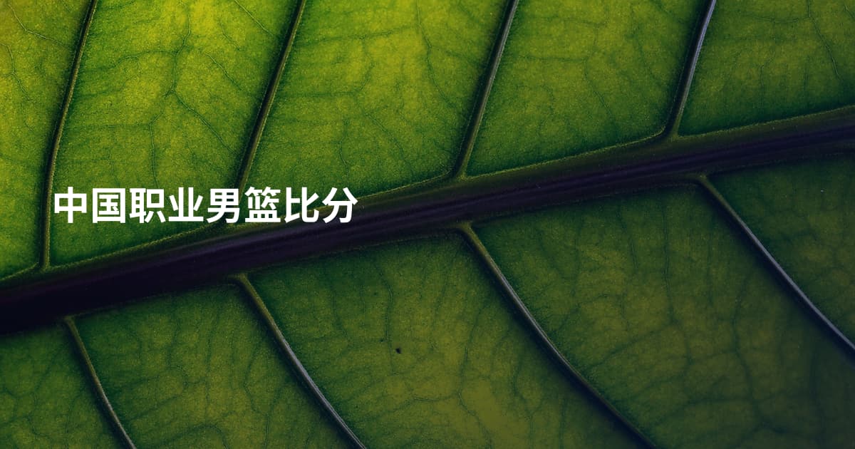 中国职业男篮比分