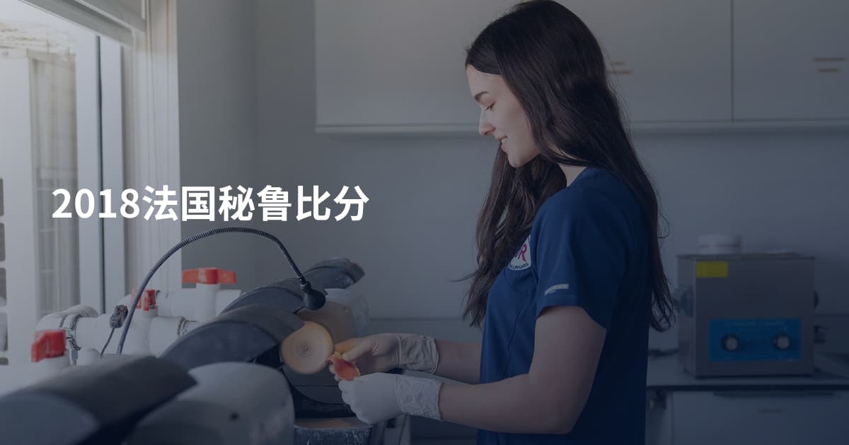 2018法国秘鲁比分