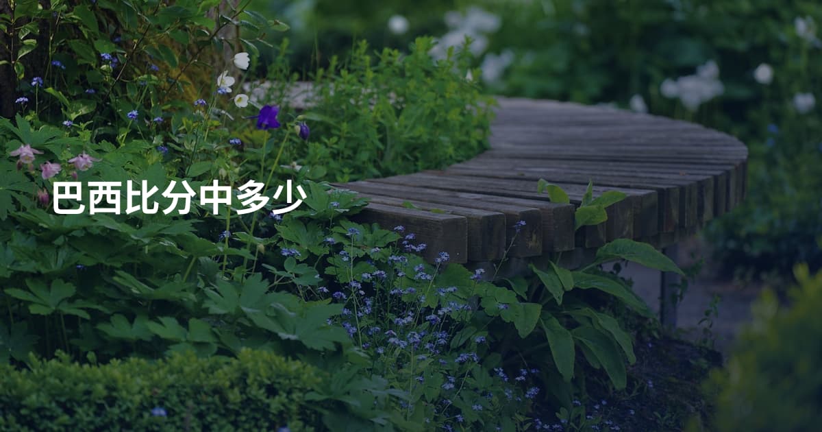 巴西比分中多少