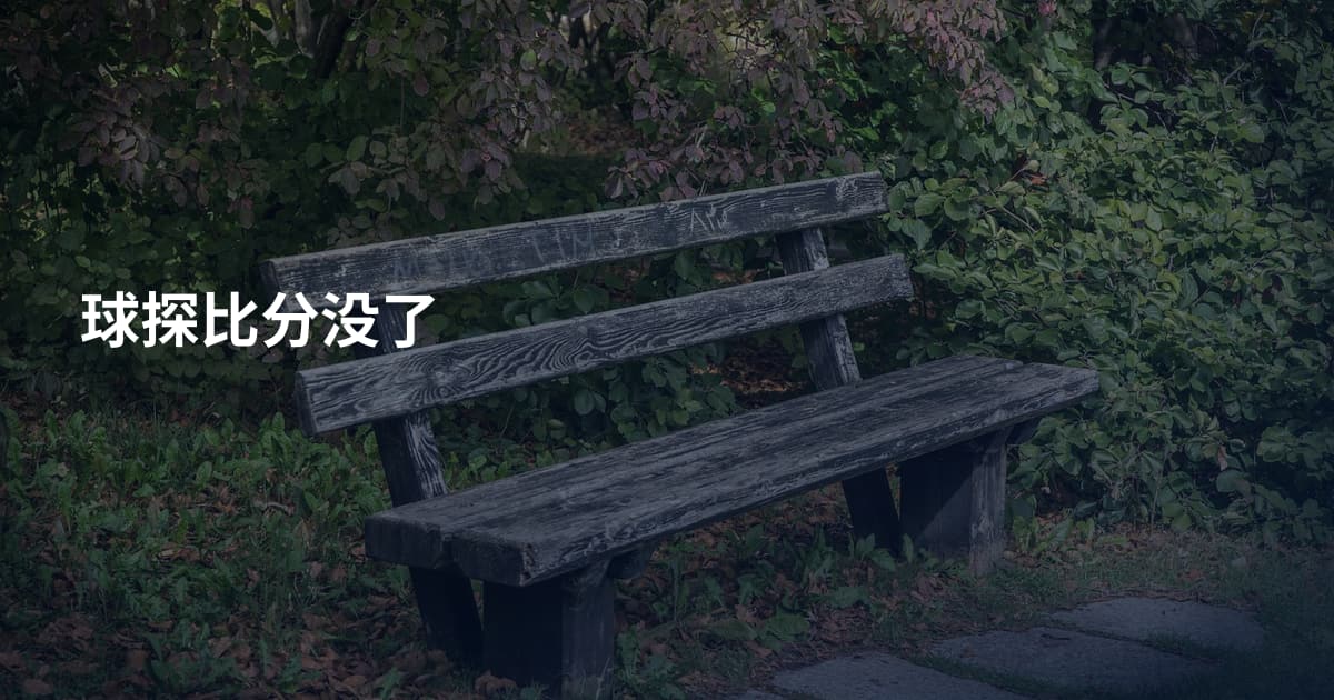 球探比分没了