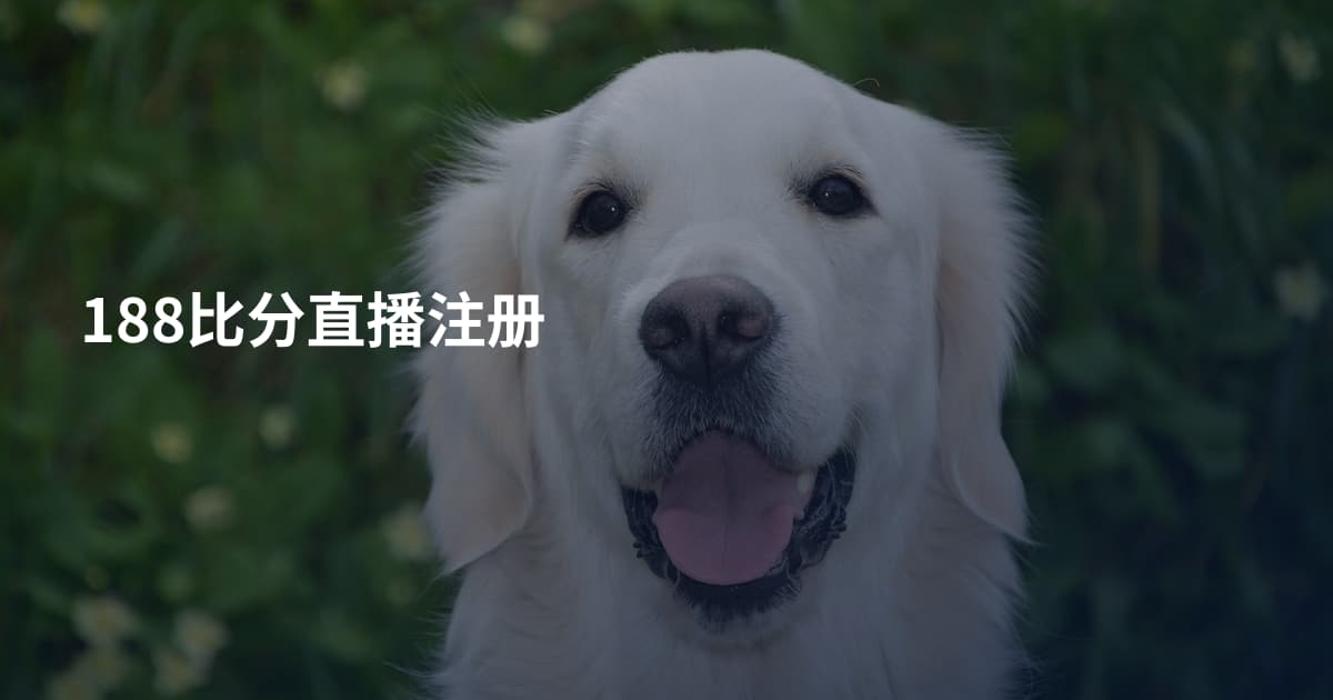 188比分直播注册