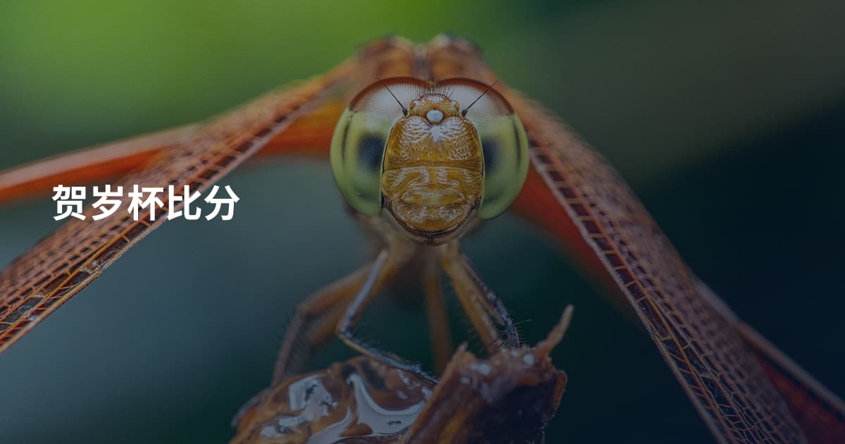 贺岁杯比分