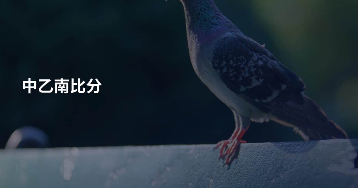 中乙南比分