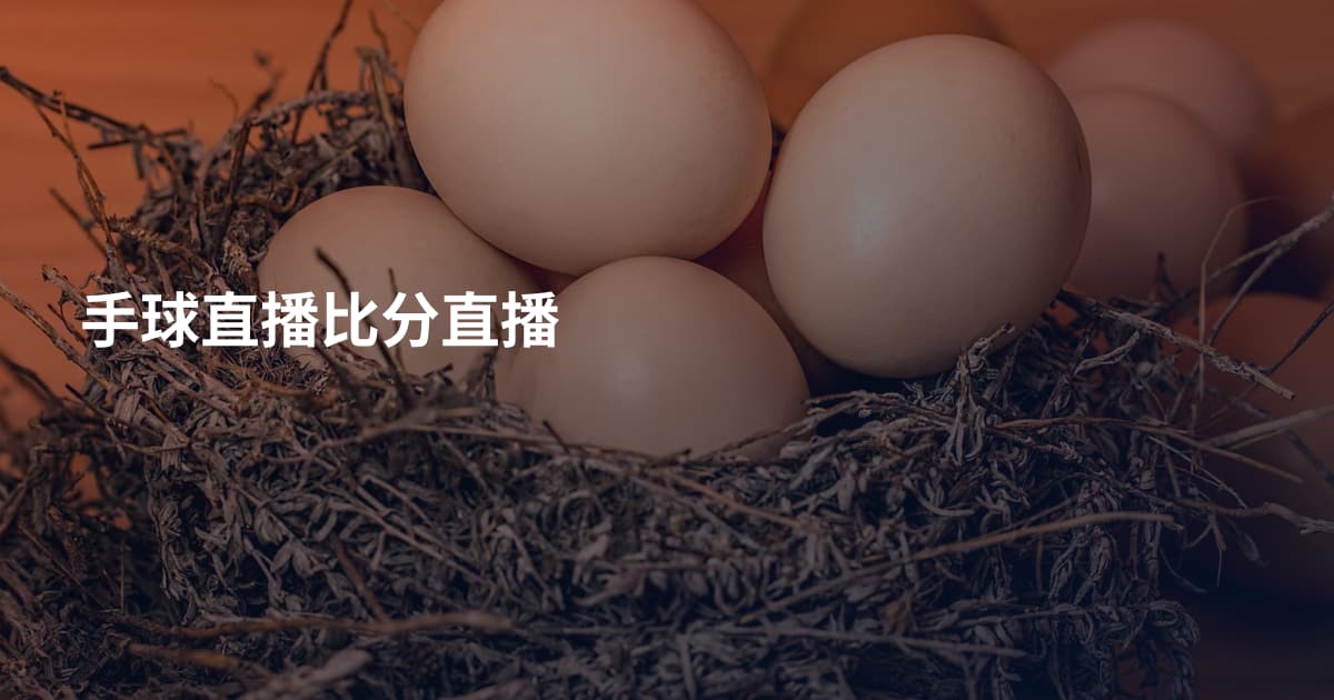 手球直播比分直播