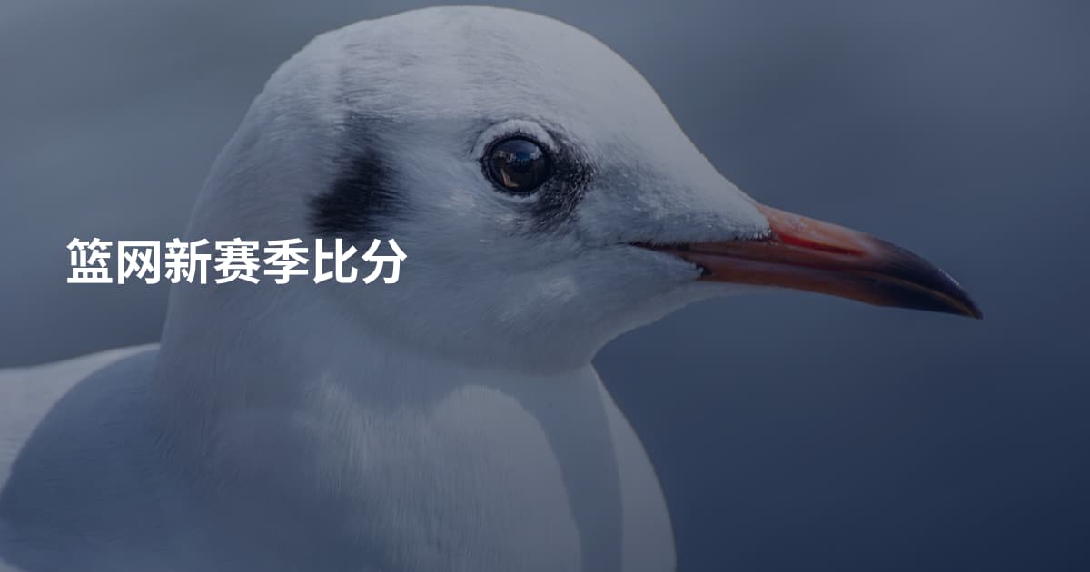 篮网新赛季比分