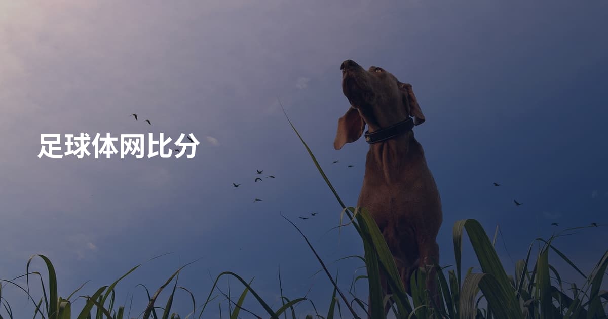 足球体网比分
