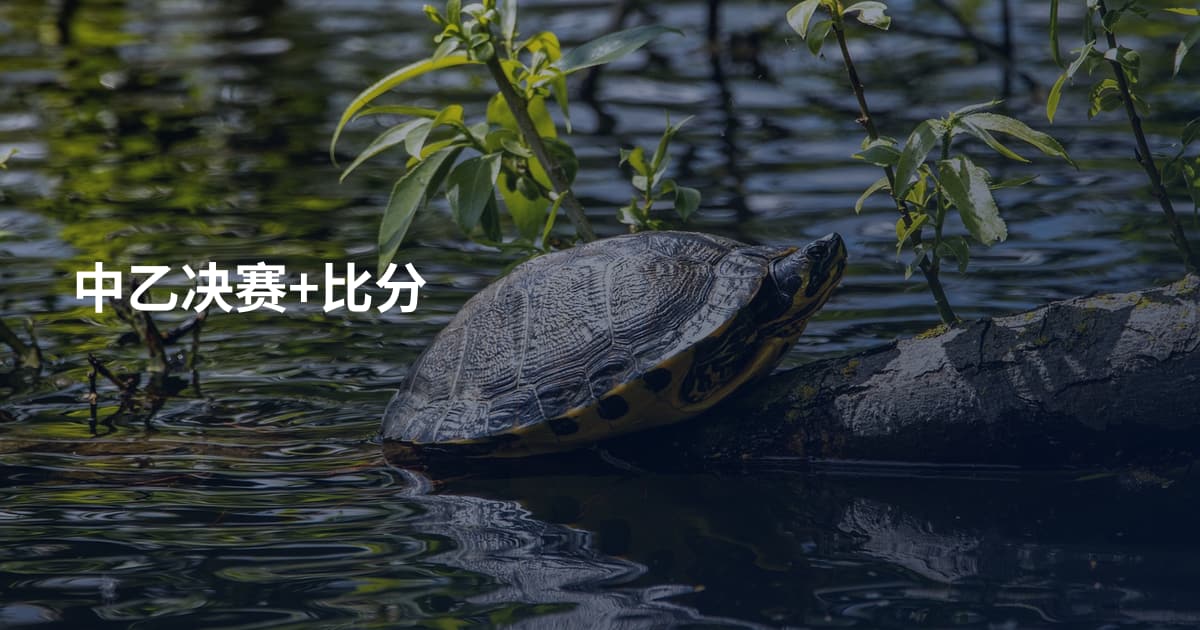 中乙决赛+比分