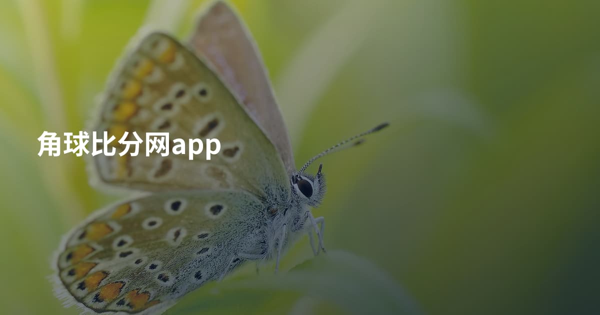 角球比分网app