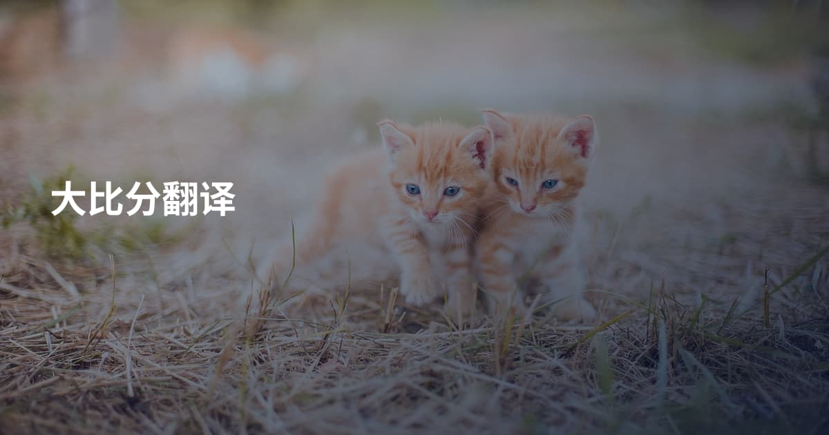 大比分翻译