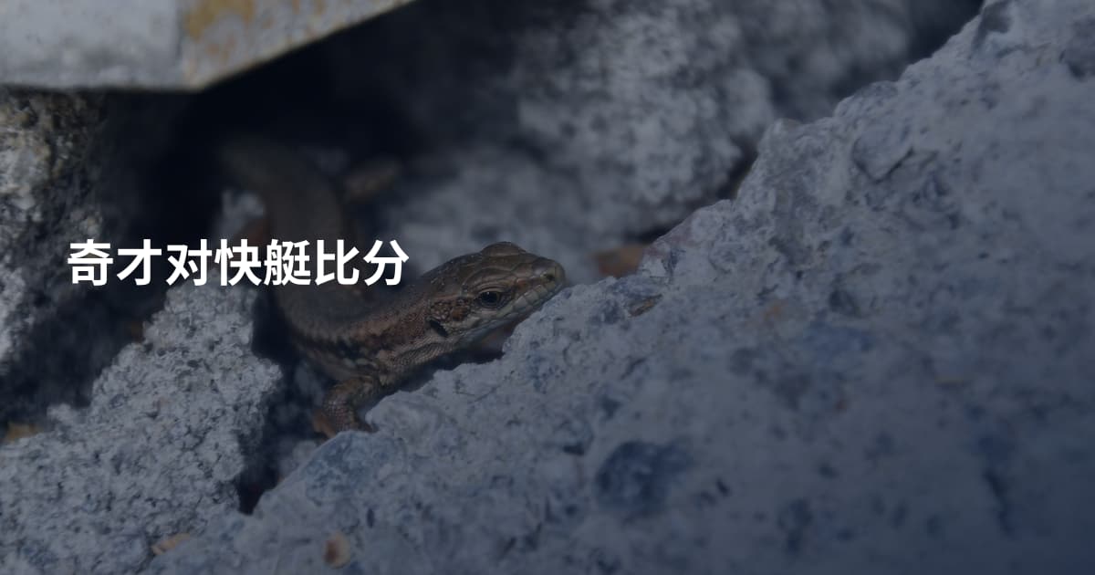 奇才对快艇比分