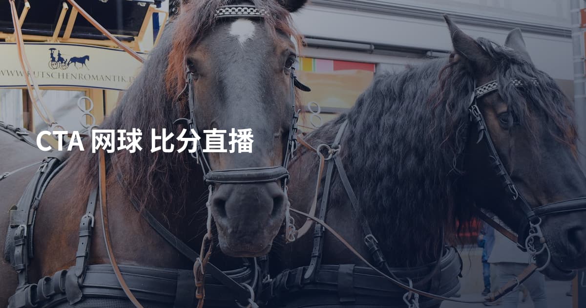 CTA 网球 比分直播