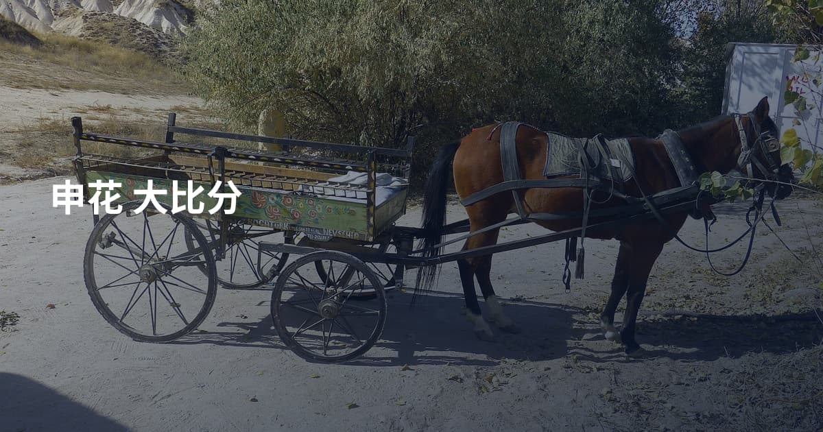申花 大比分