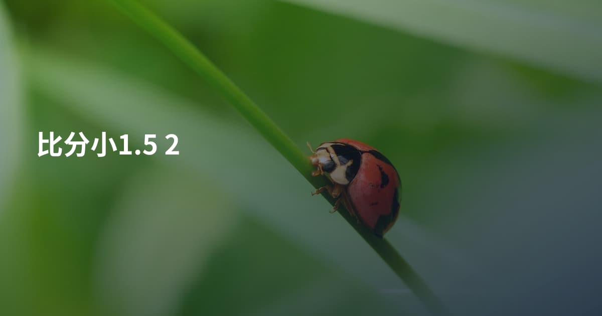 比分小1.5 2