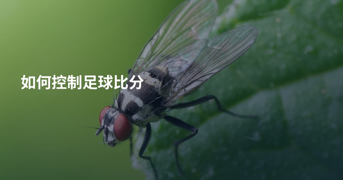 如何控制足球比分