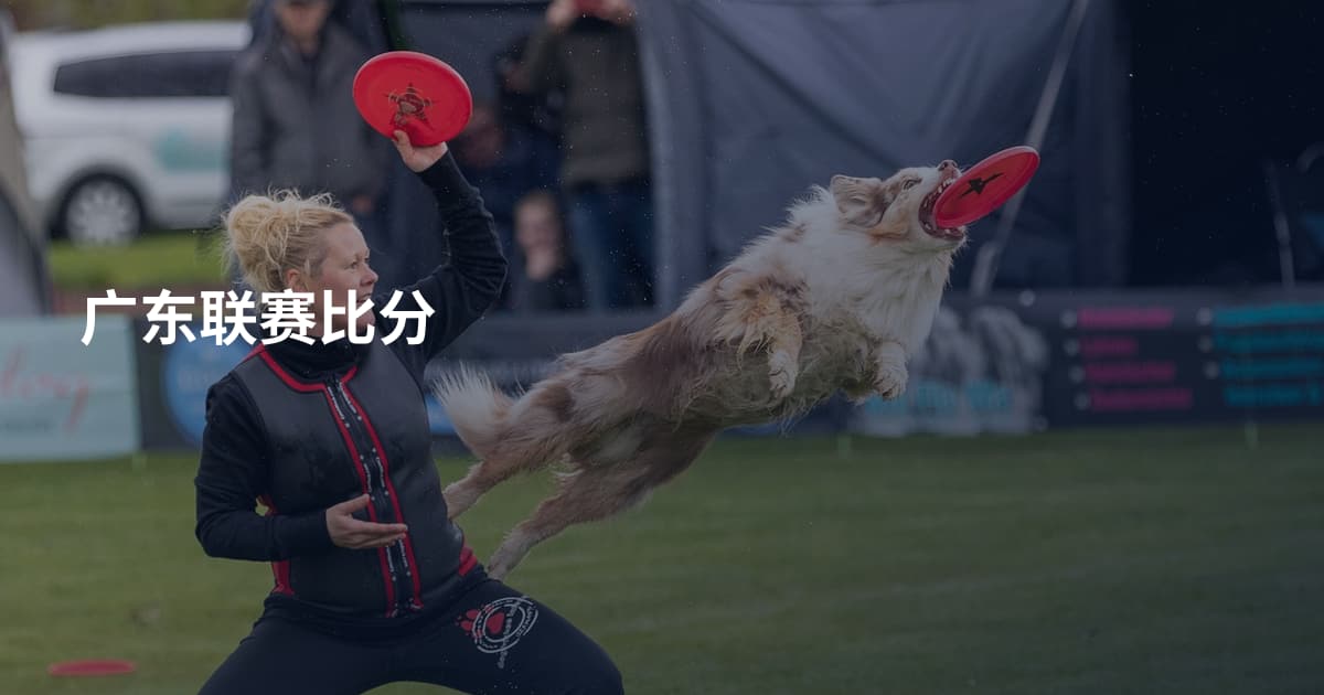 广东联赛比分