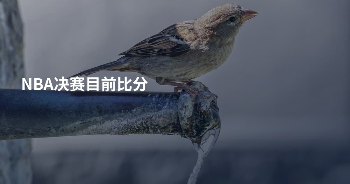 NBA决赛目前比分
