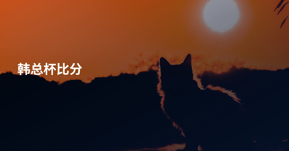 韩总杯比分
