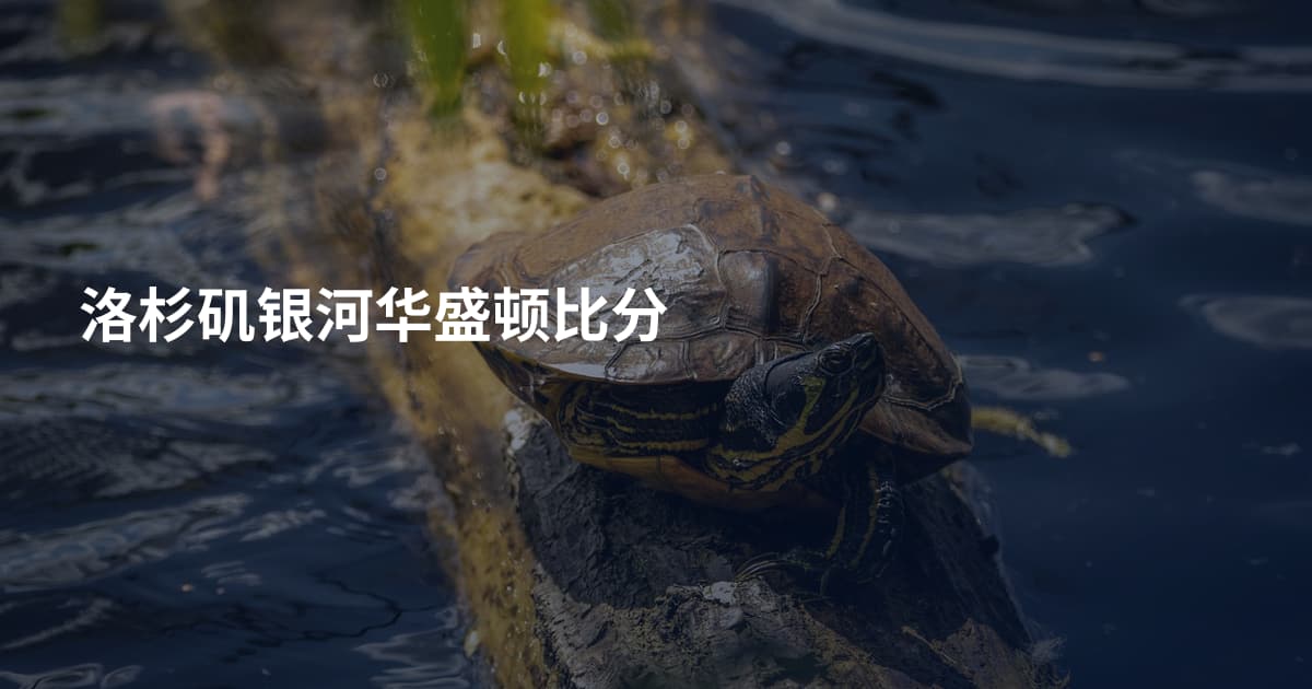 洛杉矶银河华盛顿比分