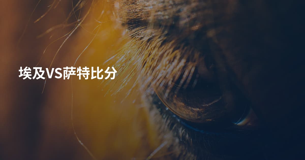 埃及VS萨特比分