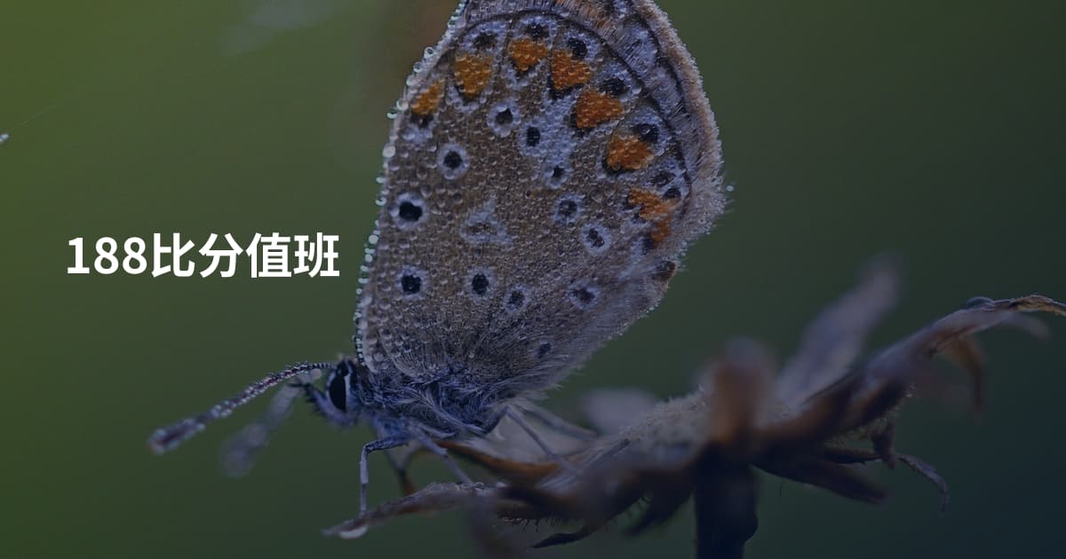 188比分值班