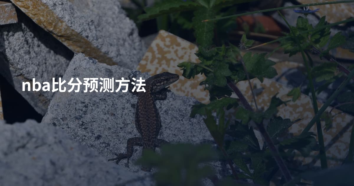 nba比分预测方法