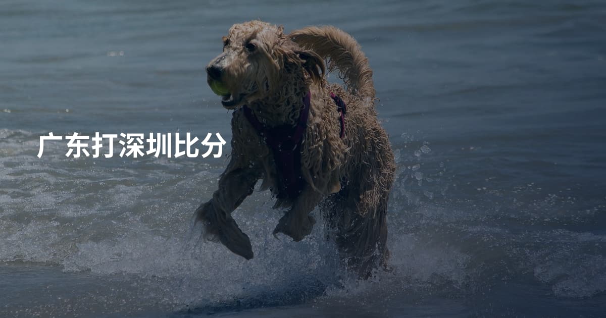广东打深圳比分