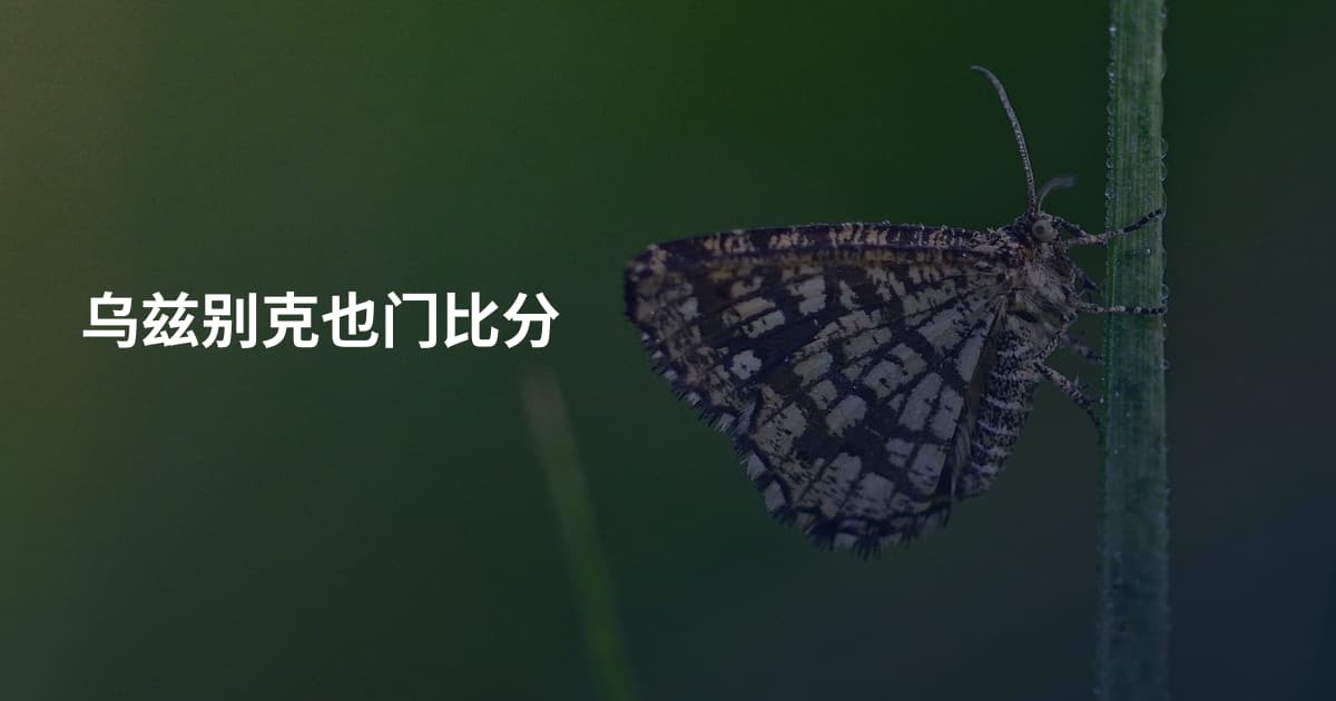 乌兹别克也门比分