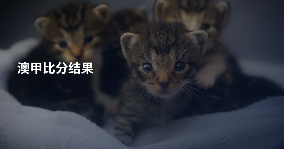 澳甲比分结果