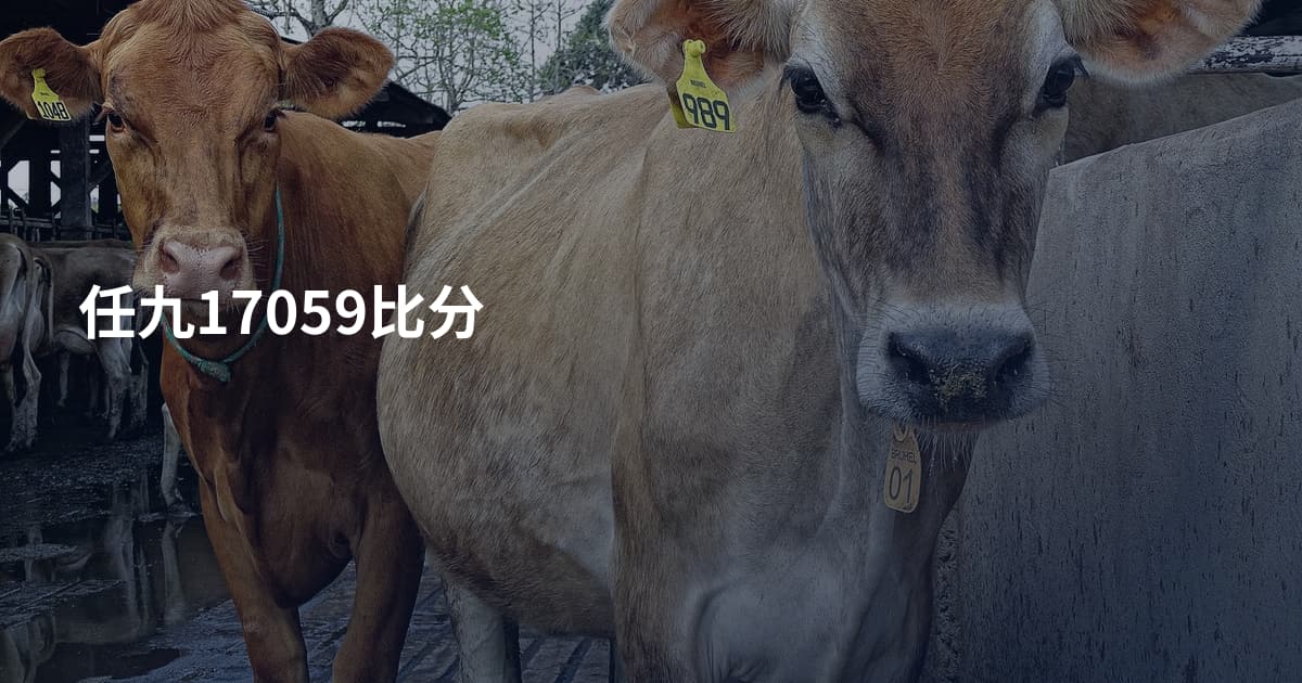 任九17059比分