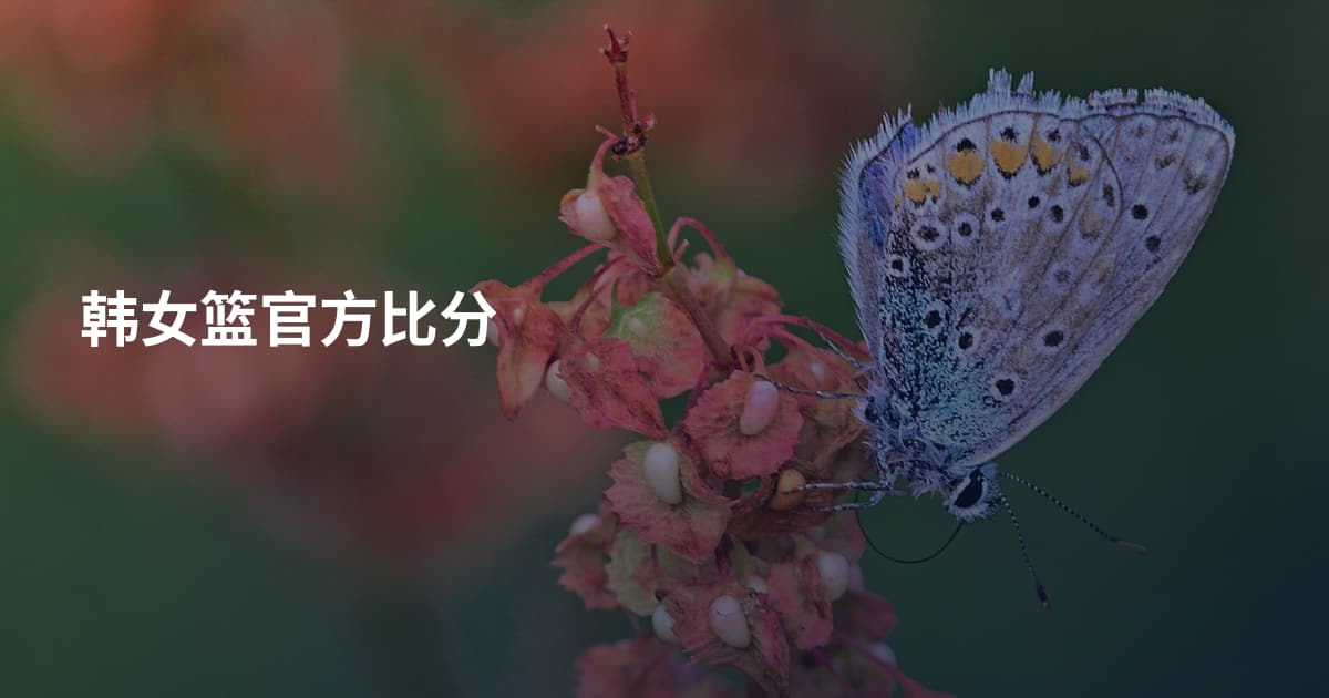韩女篮官方比分