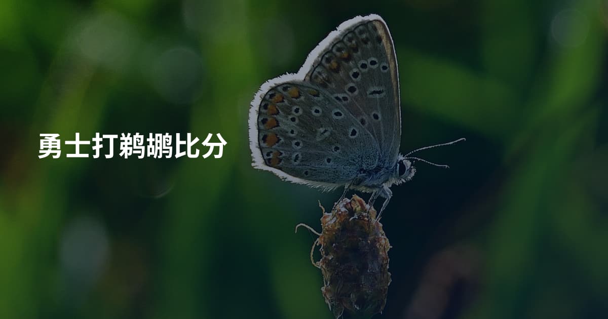 勇士打鹈鹕比分