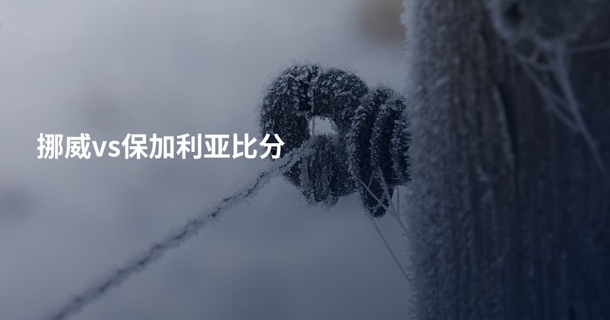 挪威vs保加利亚比分