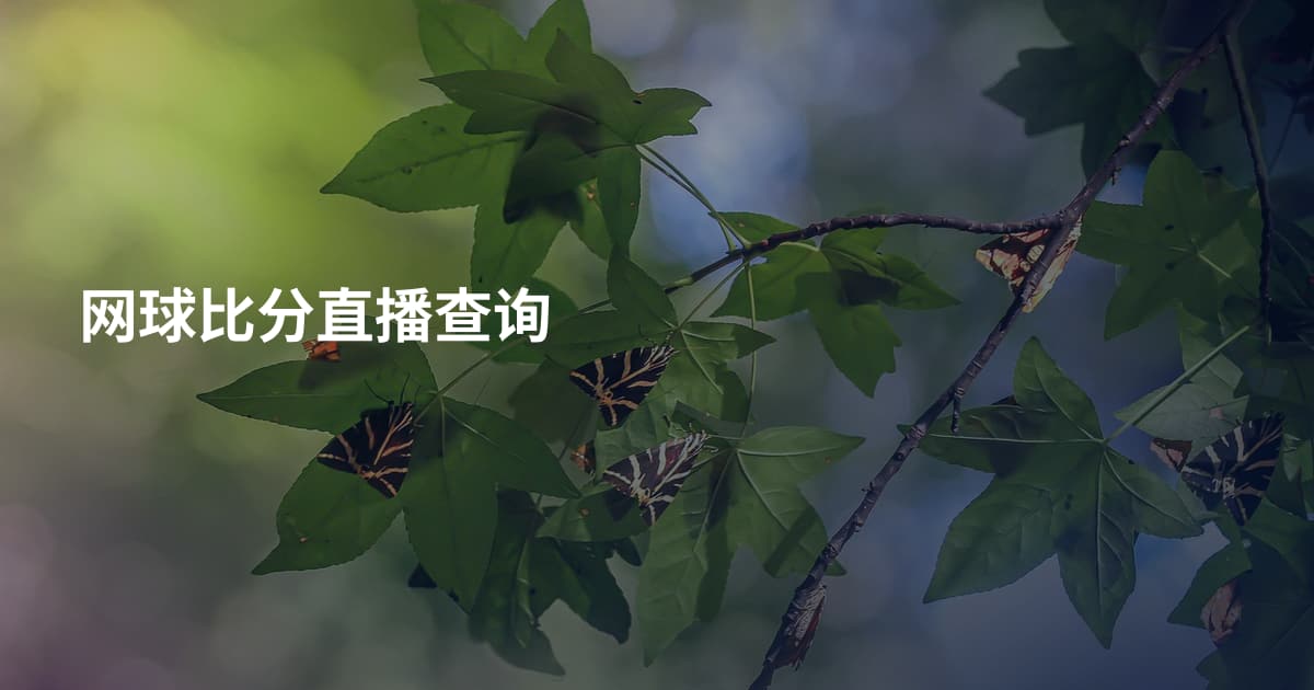 网球比分直播查询