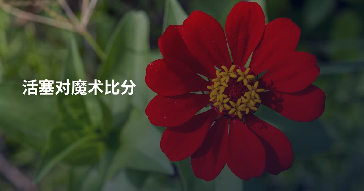 活塞对魔术比分