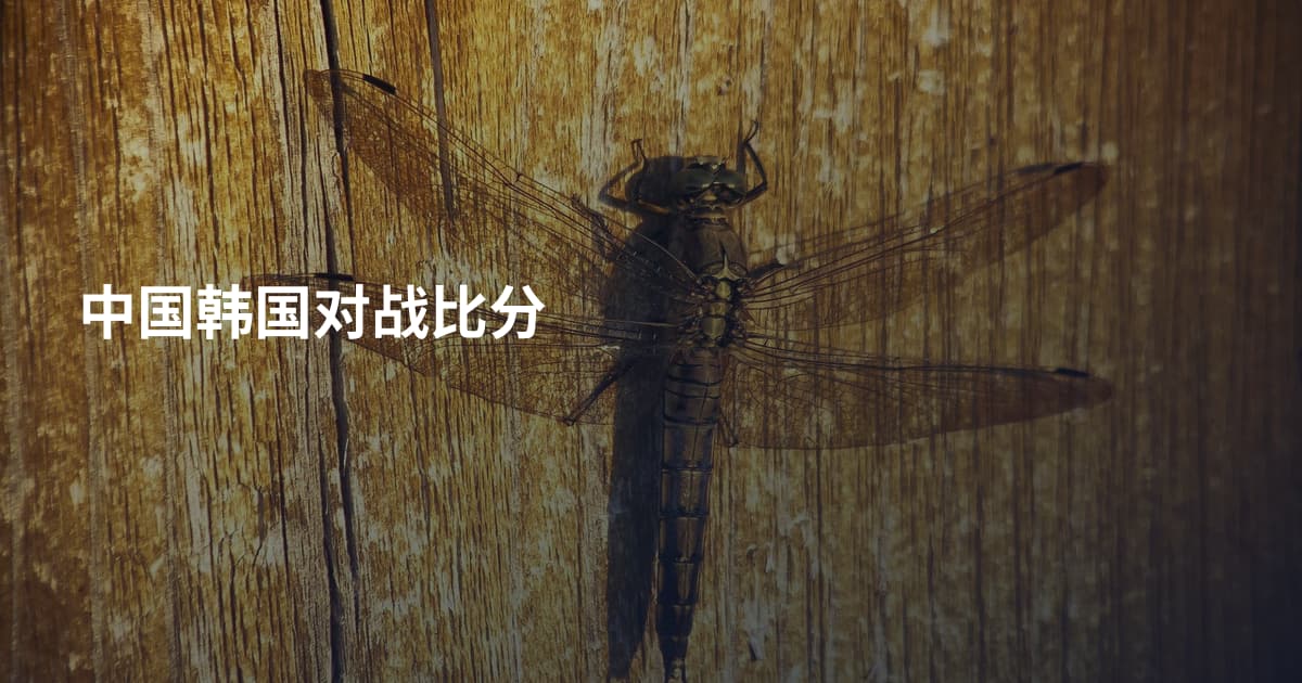 中国韩国对战比分