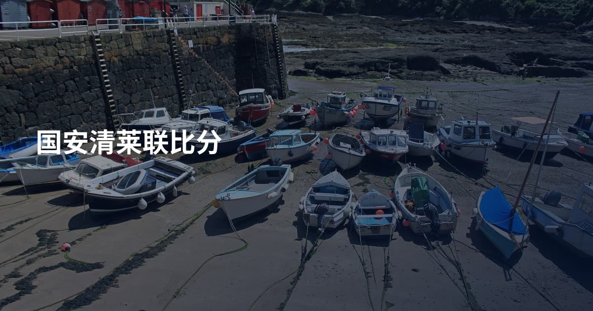国安清莱联比分