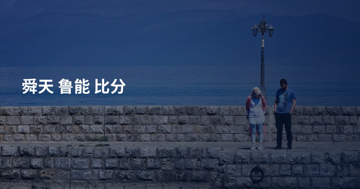 舜天 鲁能 比分