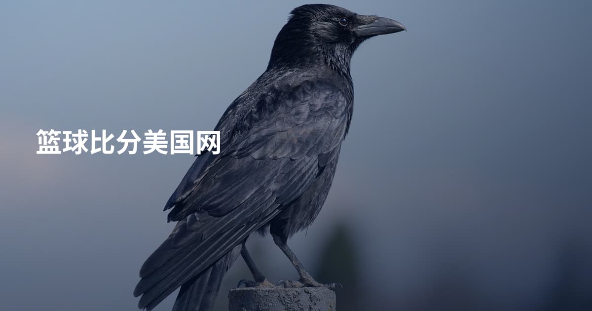 篮球比分美国网