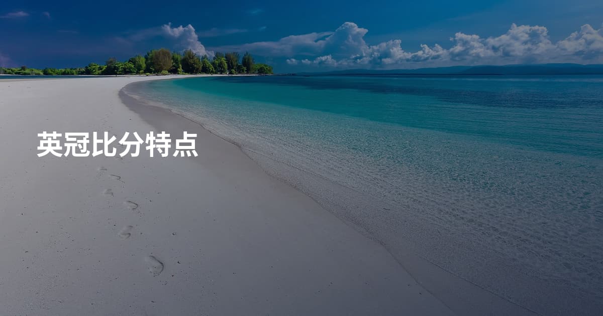 英冠比分特点
