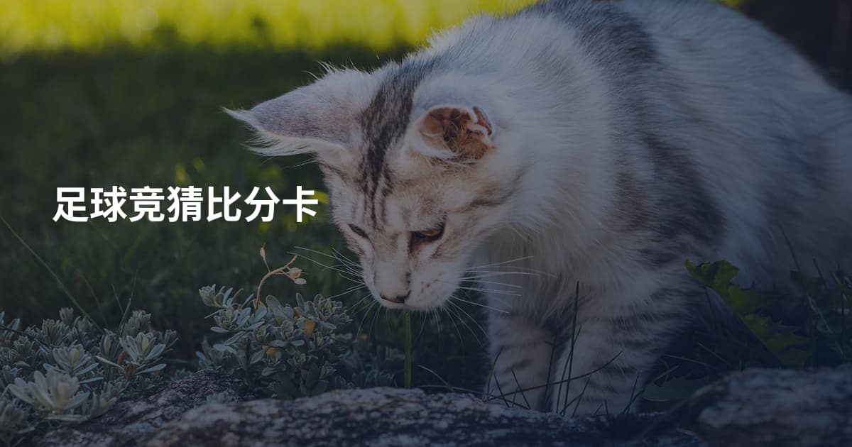 足球竞猜比分卡